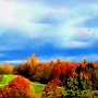 Wald im Herbstkleid